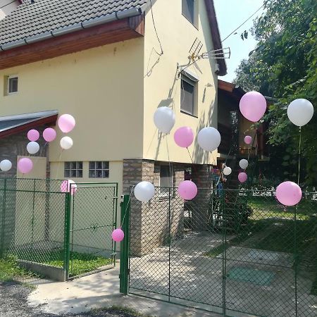 Tiszavirag Vendeghaz Villa Сегед Екстериор снимка