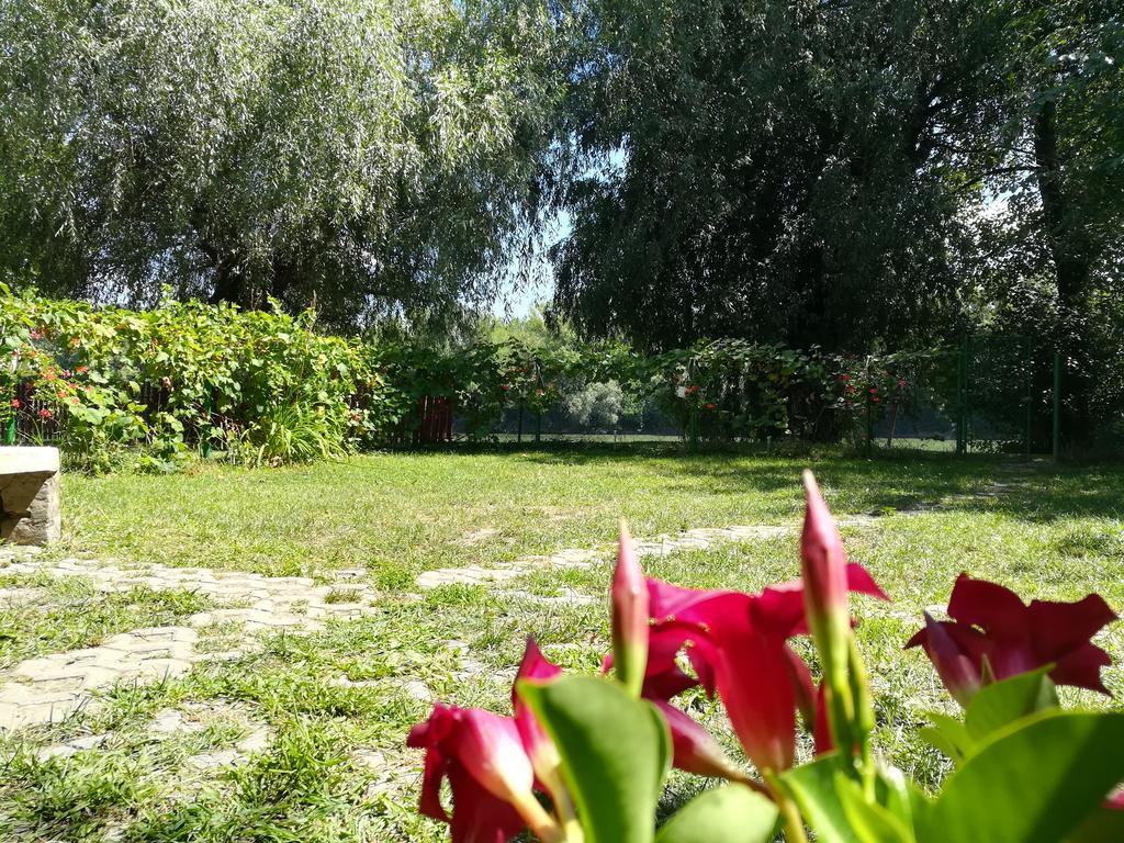 Tiszavirag Vendeghaz Villa Сегед Екстериор снимка
