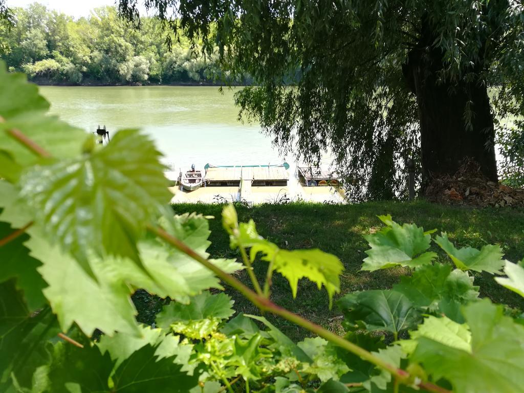 Tiszavirag Vendeghaz Villa Сегед Екстериор снимка
