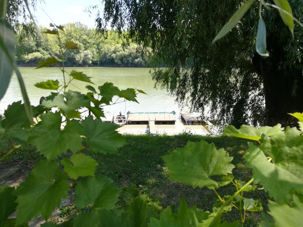 Tiszavirag Vendeghaz Villa Сегед Екстериор снимка