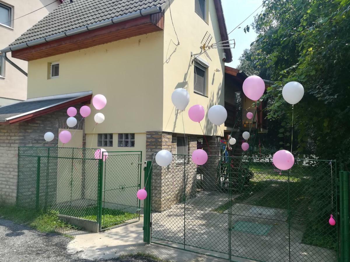 Tiszavirag Vendeghaz Villa Сегед Екстериор снимка